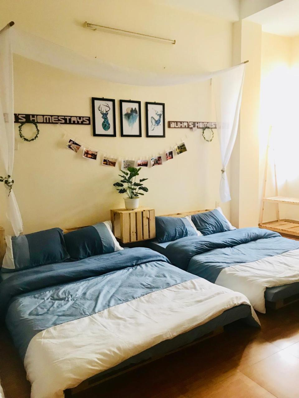 Duha'S Homestay Danang Bagian luar foto