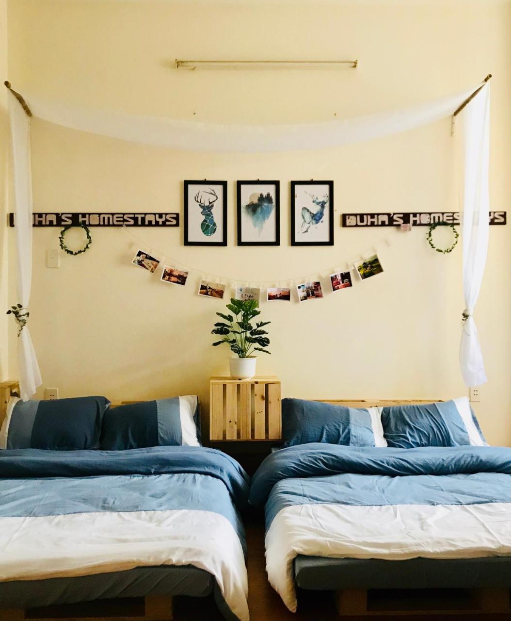 Duha'S Homestay Danang Bagian luar foto